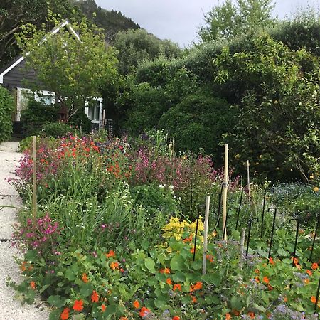 Hahei Kereru Cottage Экстерьер фото